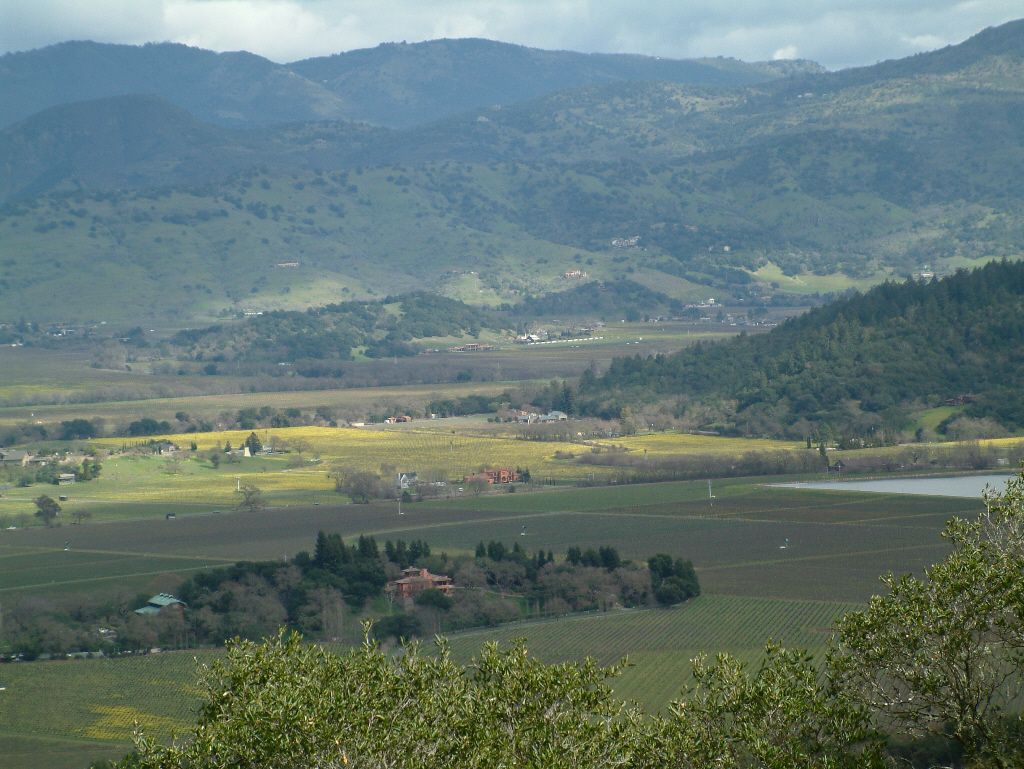 View of Sonoma County